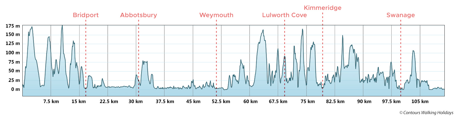 Dorset Trail Run Route Profile